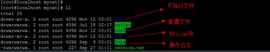 image-20220417203048414